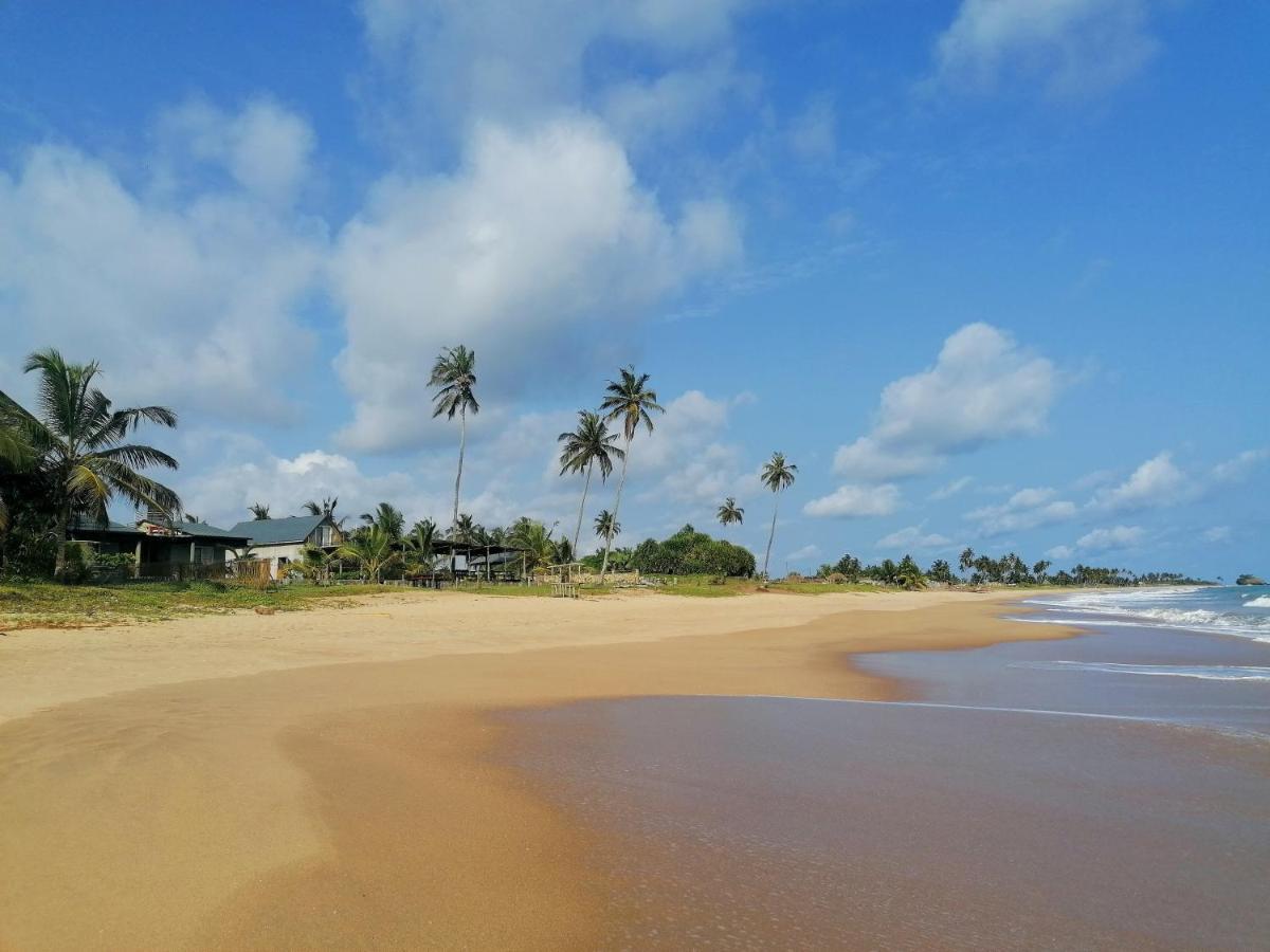 Afro Beach Eco Resort Butre Экстерьер фото