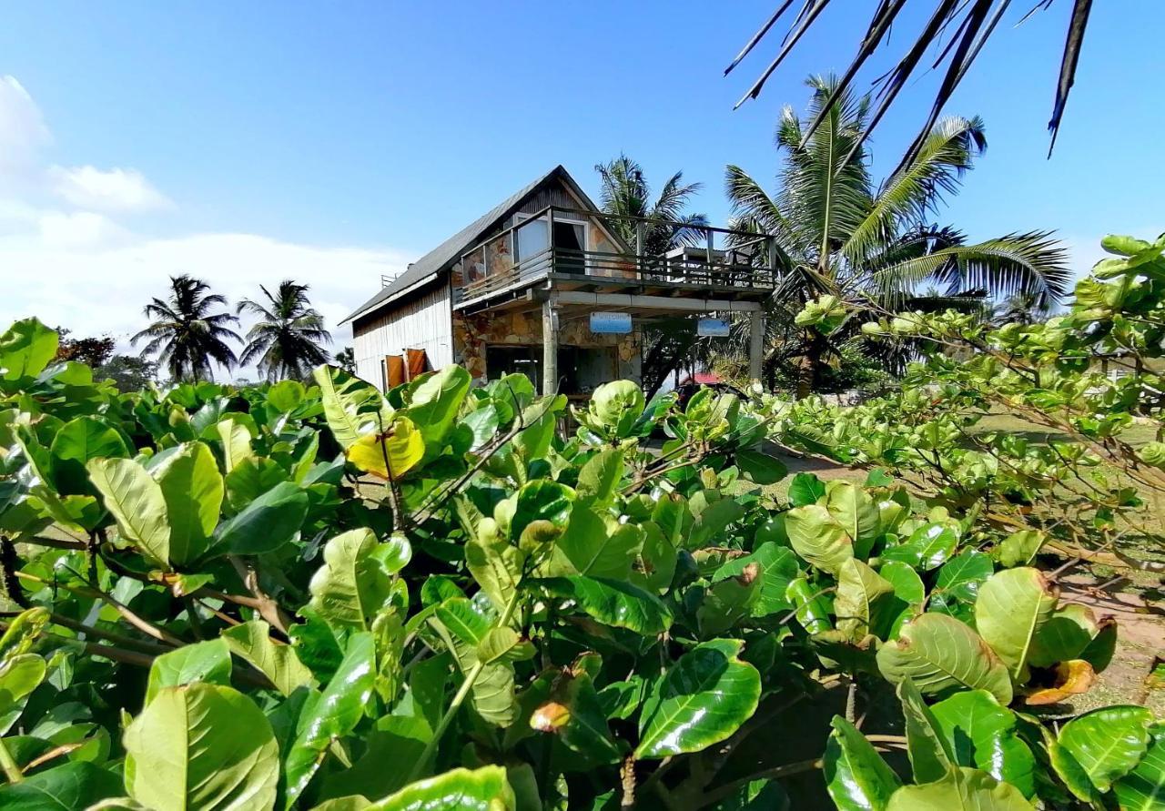 Afro Beach Eco Resort Butre Экстерьер фото