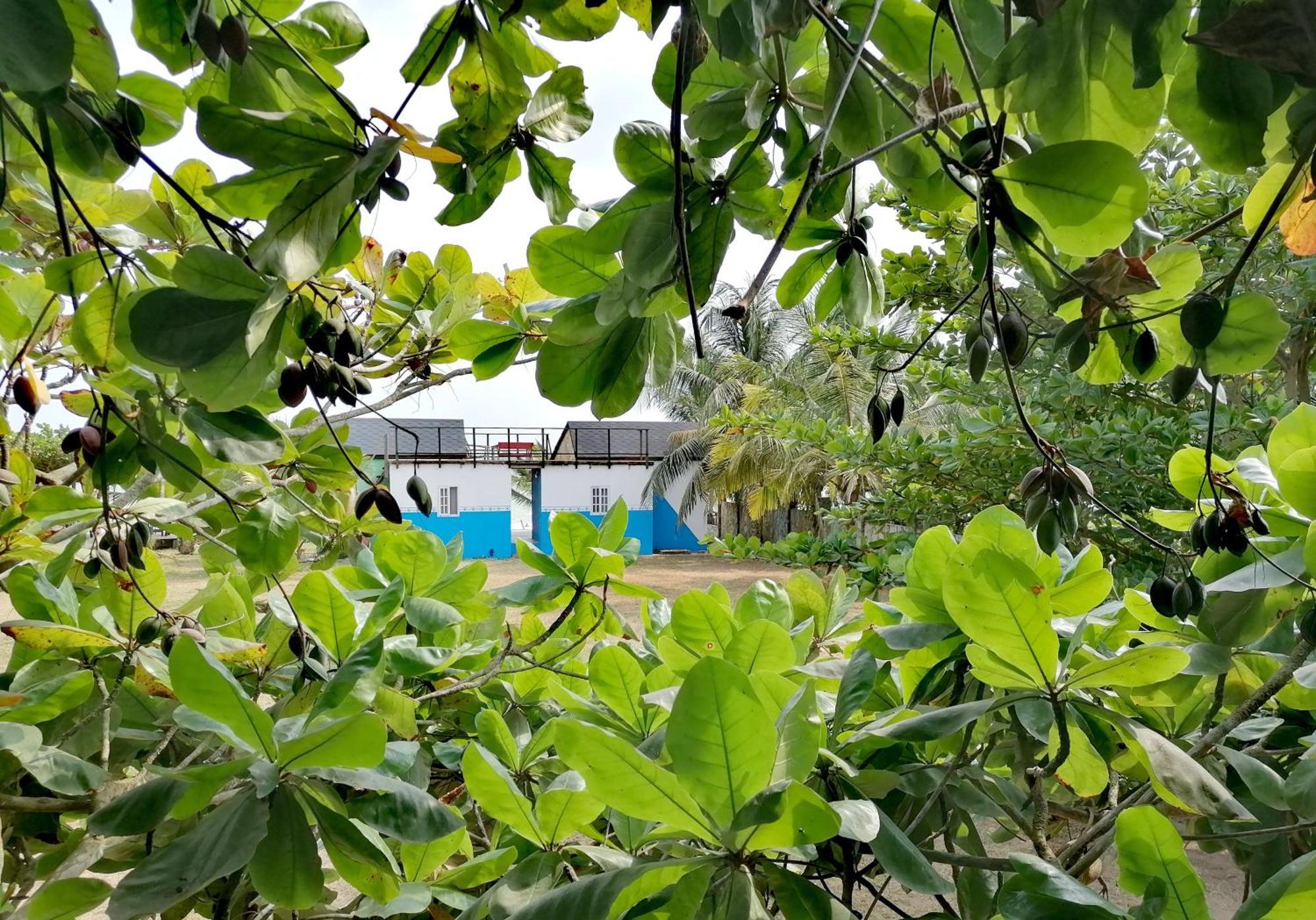 Afro Beach Eco Resort Butre Номер фото