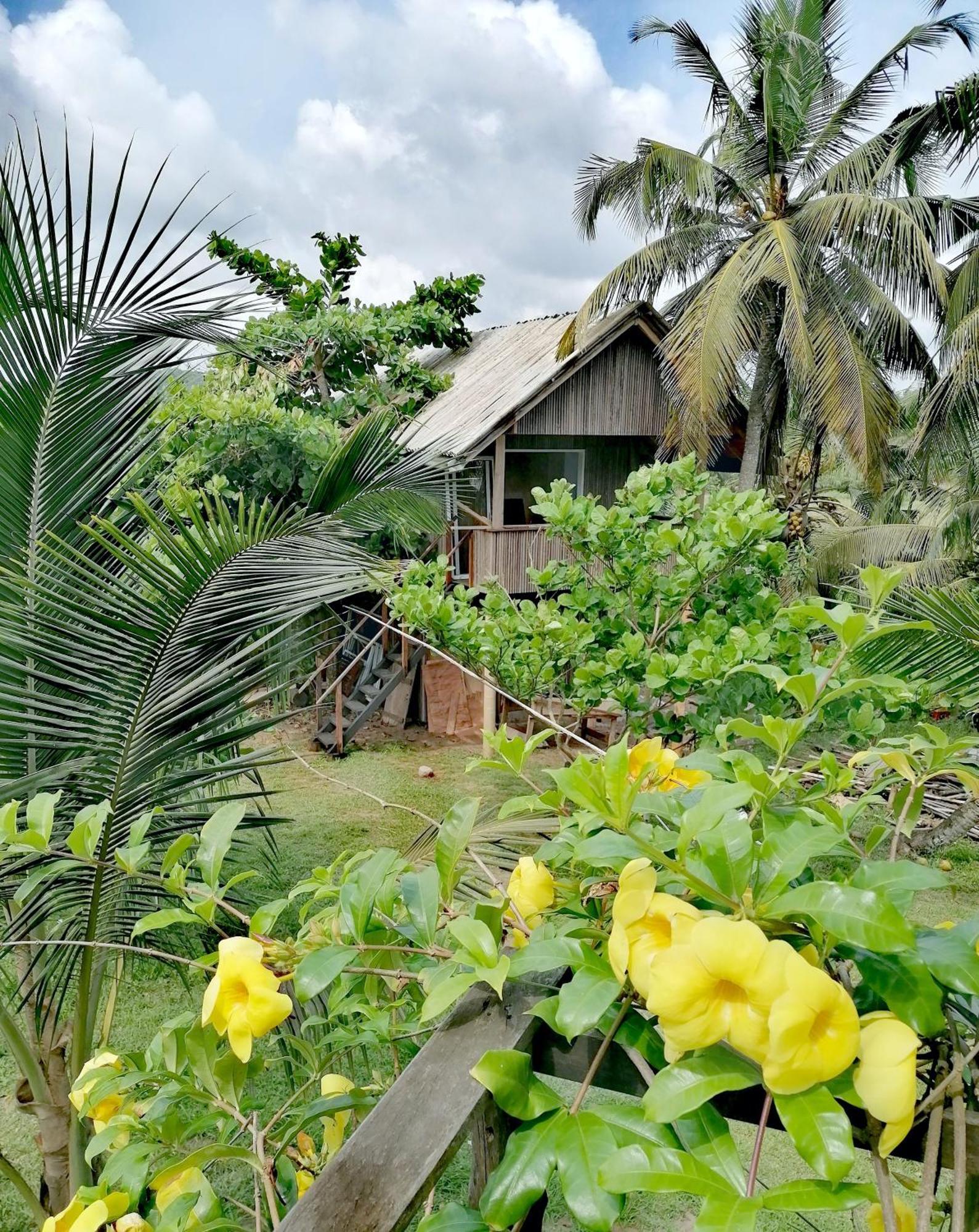 Afro Beach Eco Resort Butre Номер фото