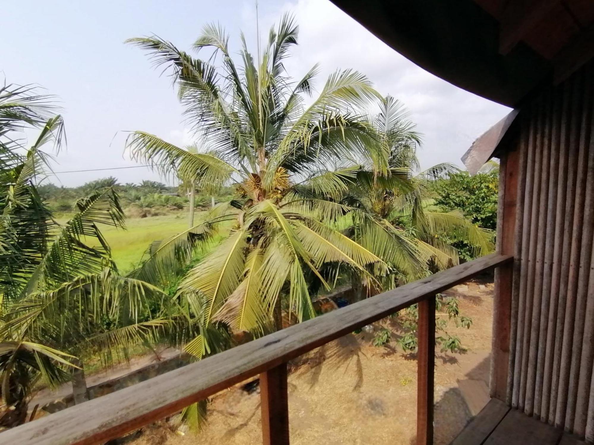 Afro Beach Eco Resort Butre Номер фото